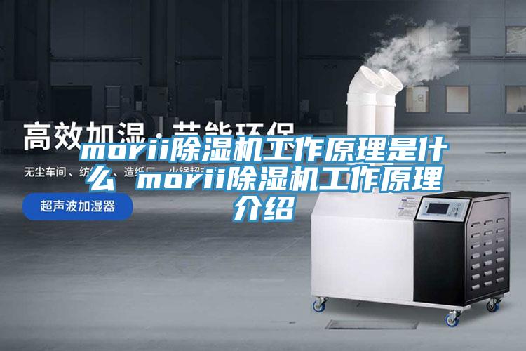 morii小黄片直播视频工作原理是什么 morii小黄片直播视频工作原理介绍