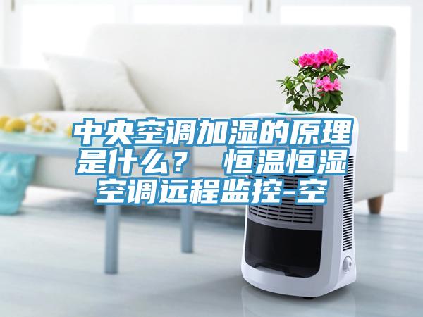 中央空调加湿的原理是什么？ 恒温恒湿空调远程监控-空