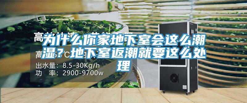 为什么你家地下室会这么潮湿？地下室返潮就要这么处理