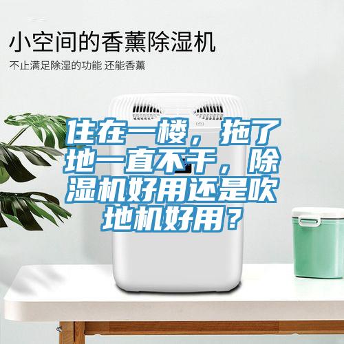 住在一楼，拖了地一直不干，小黄片直播视频好用还是吹地机好用？