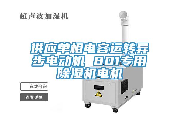 供应单相电容运转异步电动机 801专用小黄片直播视频电机