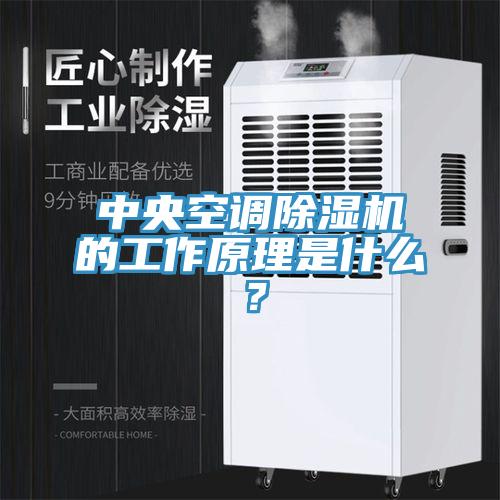 中央空调小黄片直播视频的工作原理是什么？
