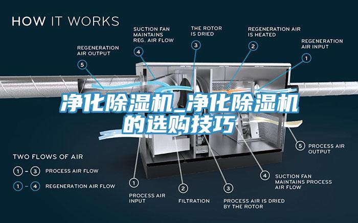 净化小黄片直播视频_净化小黄片直播视频的选购技巧