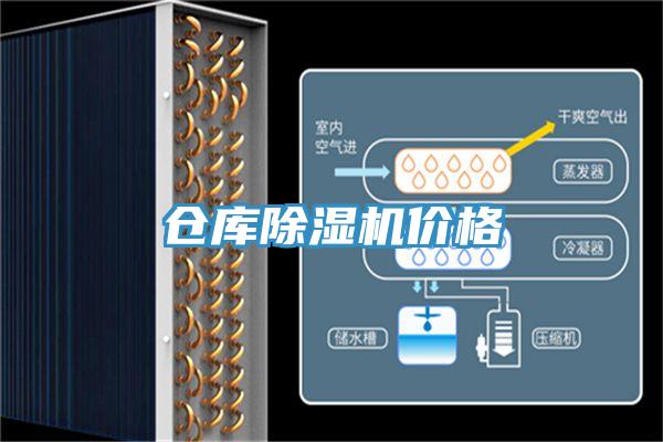 仓库小黄片直播视频价格