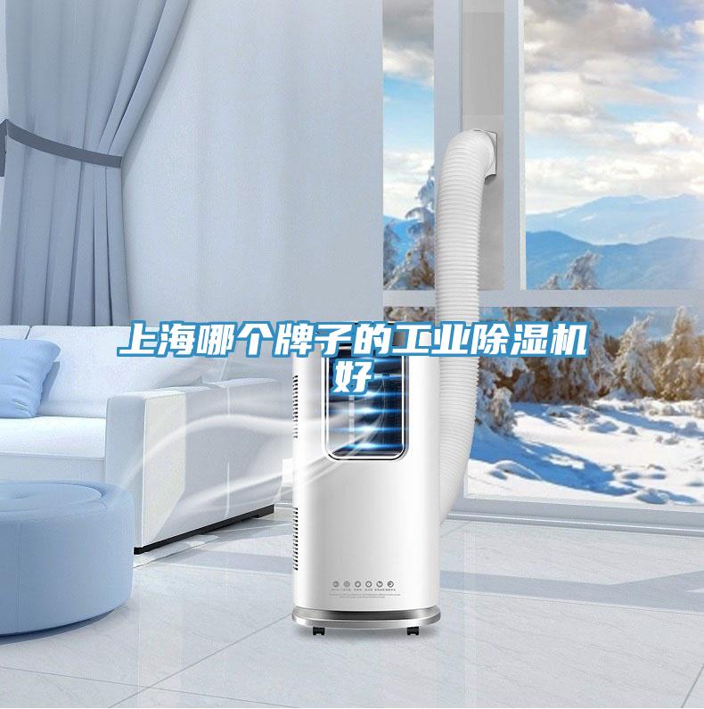 上海哪个牌子的工业小黄片直播视频好