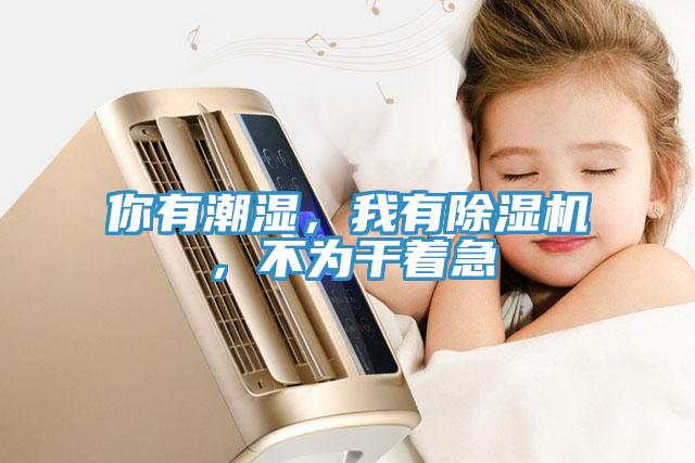 你有潮湿，我有小黄片直播视频，不为干着急