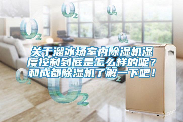 关于溜冰场室内小黄片直播视频湿度控制到底是怎么样的呢？和成都小黄片直播视频了解一下吧！