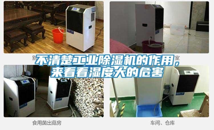 不清楚工业小黄片直播视频的作用，来看看湿度大的危害