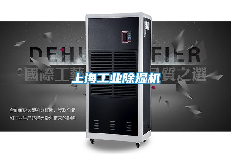 上海工业小黄片直播视频