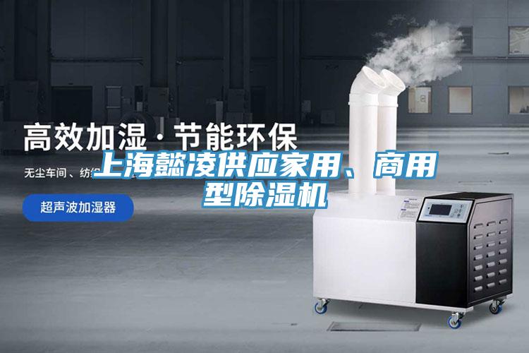 上海懿凌供应家用、商用型小黄片直播视频