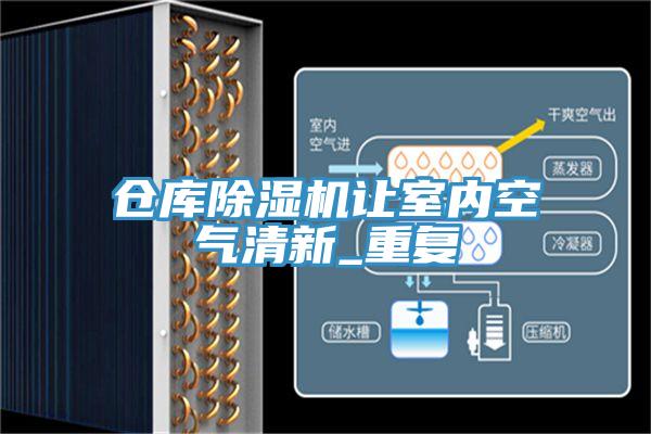 仓库小黄片直播视频让室内空气清新_重复