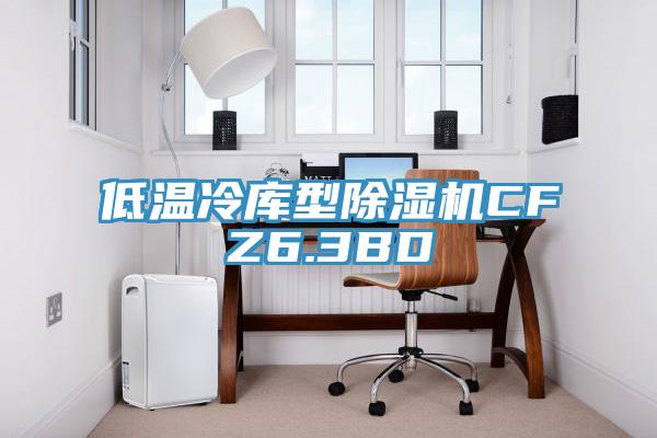 低温冷库型小黄片直播视频CFZ6.3BD