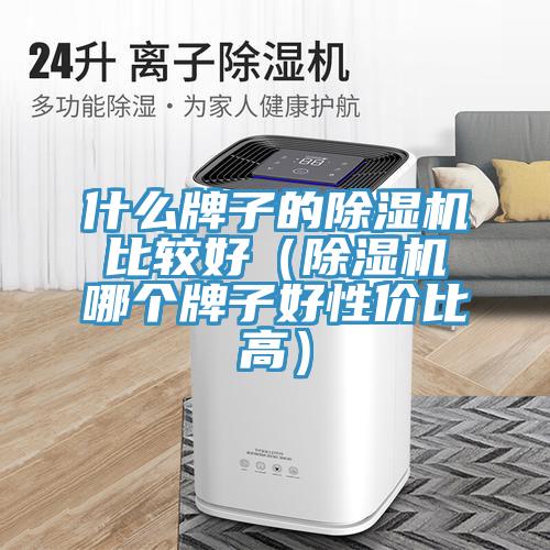 什么牌子的小黄片直播视频比较好（小黄片直播视频哪个牌子好性价比高）