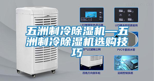 五洲制冷小黄片直播视频—五洲制冷小黄片直播视频选购技巧