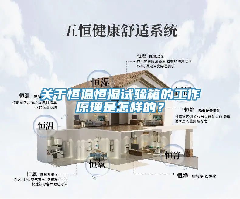 关于恒温恒湿试验箱的工作原理是怎样的？