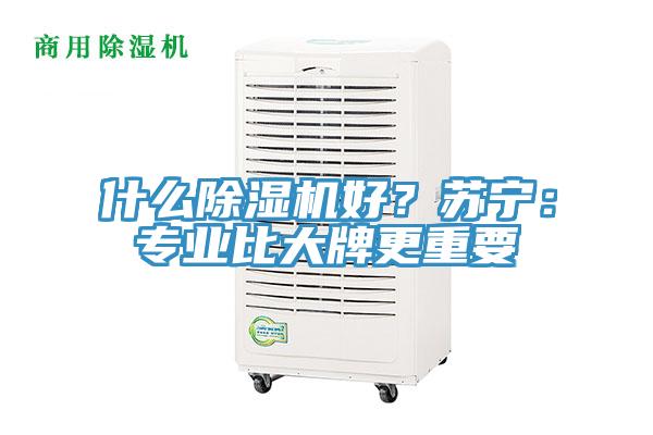 什么小黄片直播视频好？苏宁：专业比大牌更重要
