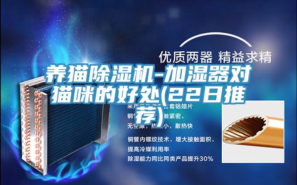 养猫小黄片直播视频-加湿器对猫咪的好处(22日推荐)