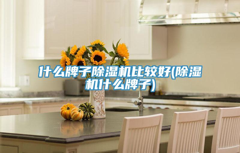 什么牌子小黄片直播视频比较好(小黄片直播视频什么牌子)
