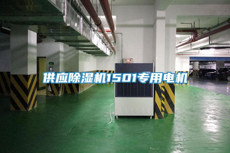 供应小黄片直播视频1501专用电机
