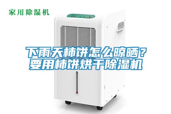 下雨天柿饼怎么晾晒？要用柿饼烘干小黄片直播视频