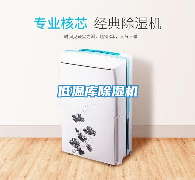 低温库小黄片直播视频