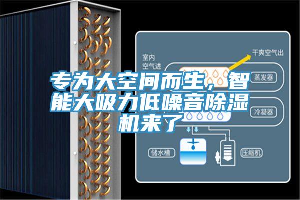 专为大空间而生，智能大吸力低噪音小黄片直播视频来了