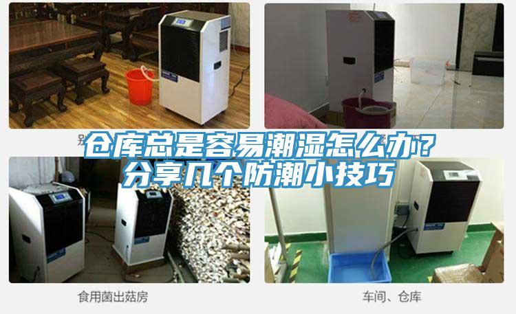 仓库总是容易潮湿怎么办？分享几个防潮小技巧