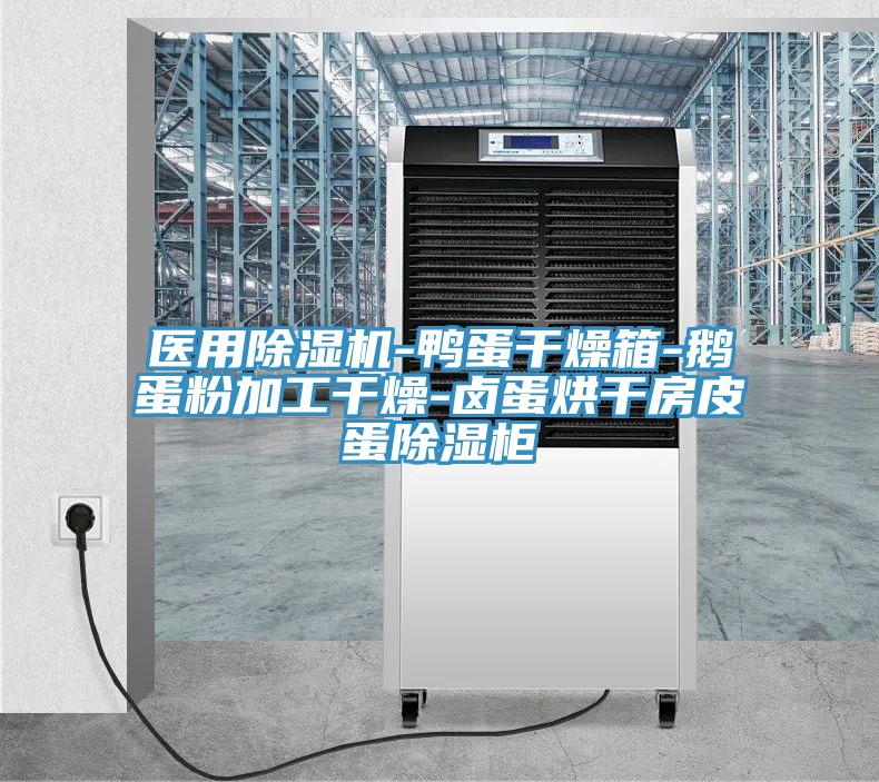 医用小黄片直播视频-鸭蛋干燥箱-鹅蛋粉加工干燥-卤蛋烘干房皮蛋除湿柜