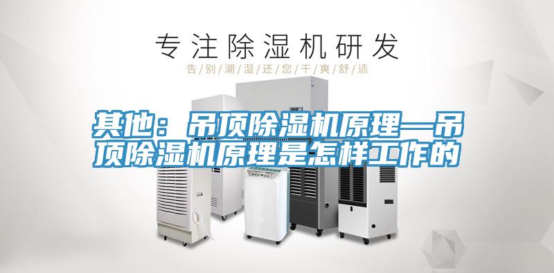 其他：吊顶小黄片直播视频原理—吊顶小黄片直播视频原理是怎样工作的