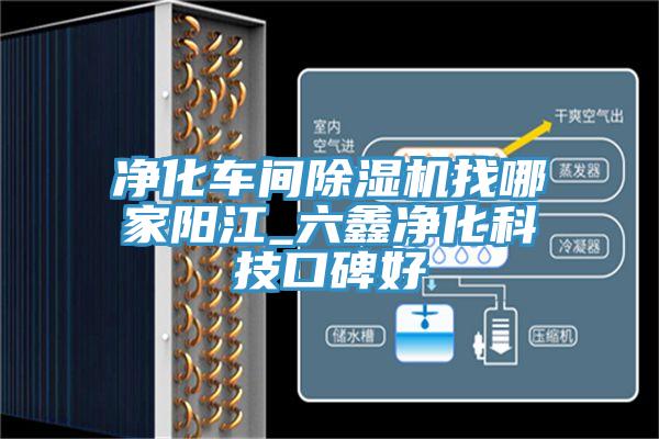 净化车间小黄片直播视频找哪家阳江_六鑫净化科技口碑好