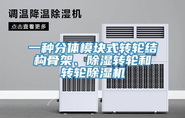 一种分体模块式转轮结构骨架、除湿转轮和转轮小黄片直播视频