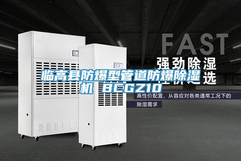 临高县防爆型管道防爆小黄片直播视频 BCGZ10