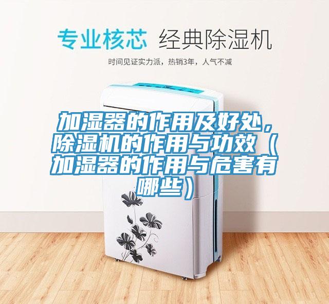 加湿器的作用及好处，小黄片直播视频的作用与功效（加湿器的作用与危害有哪些）