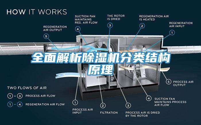 全面解析小黄片直播视频分类结构原理