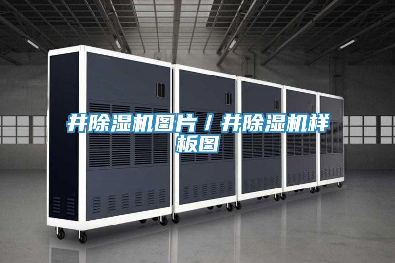 井小黄片直播视频图片／井小黄片直播视频样板图