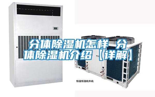 分体小黄片直播视频怎样 分体小黄片直播视频介绍【详解】