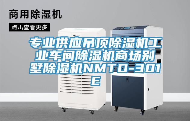 专业供应吊顶小黄片直播视频工业车间小黄片直播视频商场别墅小黄片直播视频NMTD-301E