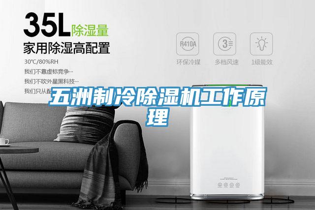 五洲制冷小黄片直播视频工作原理