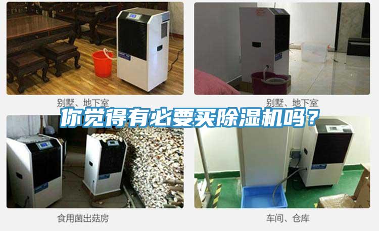 你觉得有必要买小黄片直播视频吗？