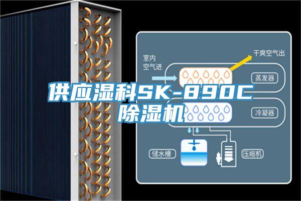 供应湿科SK-890C小黄片直播视频