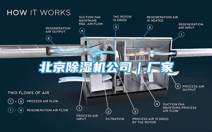 北京小黄片直播视频公司｜厂家