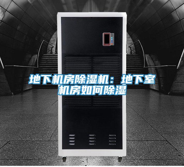 地下机房小黄片直播视频：地下室机房如何除湿