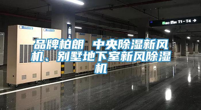 品牌柏朗 中央除湿新风机、别墅地下室新风小黄片直播视频