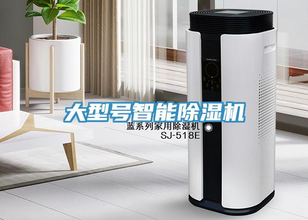 大型号智能小黄片直播视频