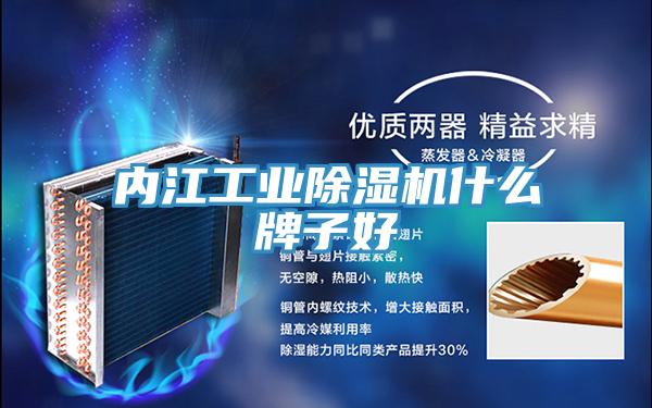 内江工业小黄片直播视频什么牌子好