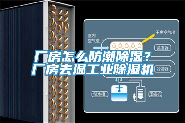 厂房怎么防潮除湿？厂房去湿工业小黄片直播视频