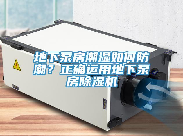 地下泵房潮湿如何防潮？正确运用地下泵房小黄片直播视频