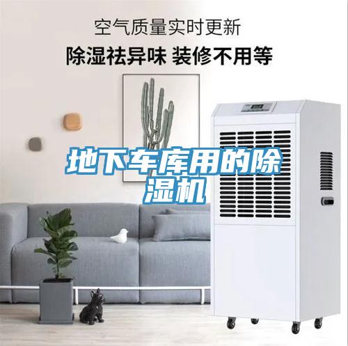 地下车库用的小黄片直播视频