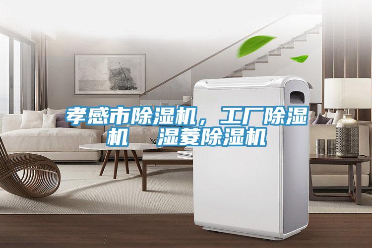 孝感市小黄片直播视频，工厂小黄片直播视频  湿菱小黄片直播视频