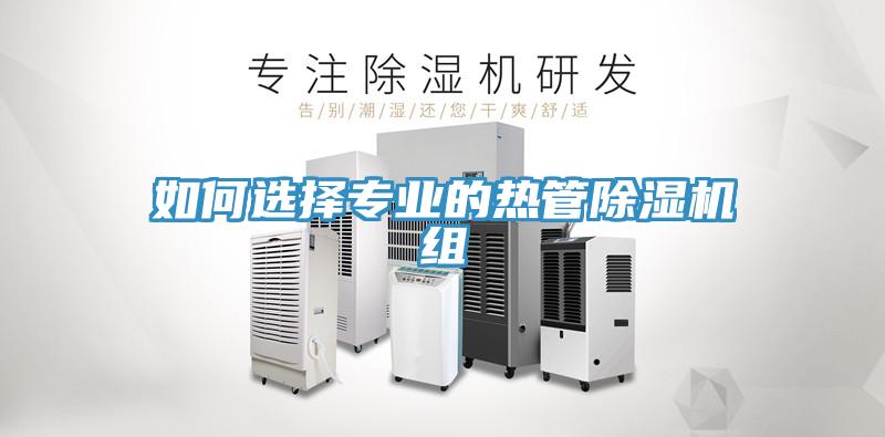 如何选择专业的热管小黄片直播视频组
